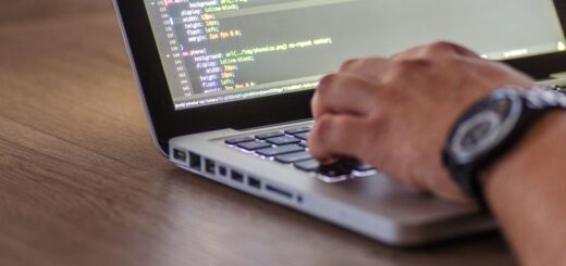 Python programmer coding