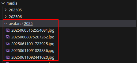 image-20250717100107618